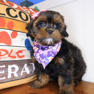 Merlina Shihpoo 01