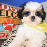 Rick Shihpoo 02