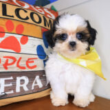 Rick Shihpoo 04